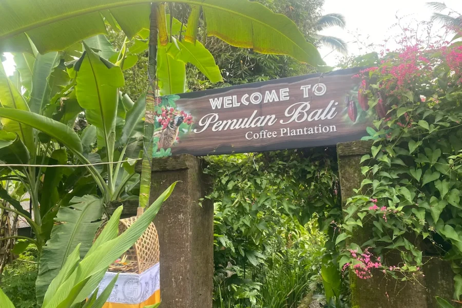 Bali Coffee Plantation